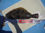 「自己記録更新!!」とのコメント。