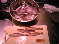 キスの20cmは楽しめますね。