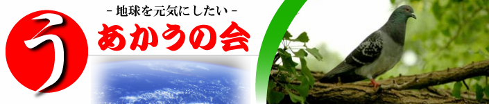 �������̉�