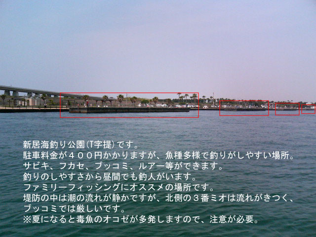 �V���C�ނ����