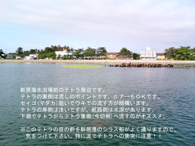 �V���C������O�e�g��