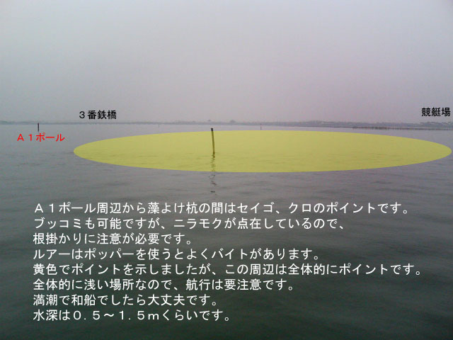 �`�q�H�P�ԃ|�[������