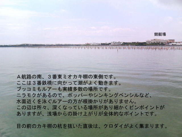 �R�ԓ��~�I�J�L�I��