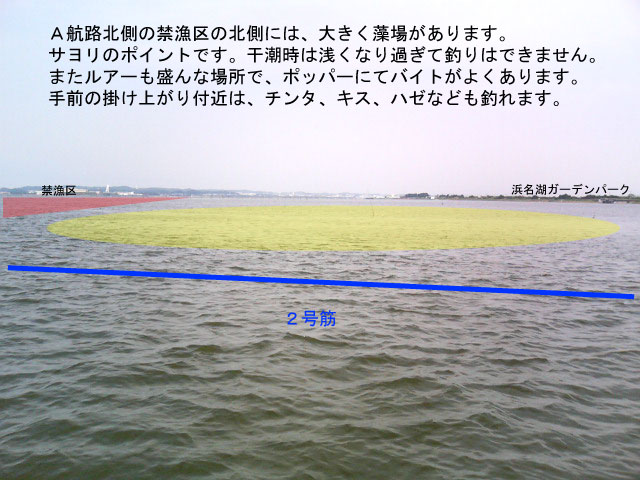 �֋���k������