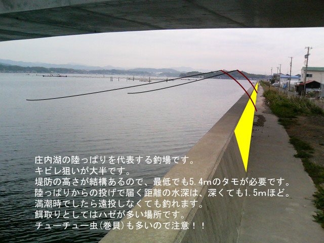 �Ðl���n�E�X�O�͂܂䂤�勴�k��