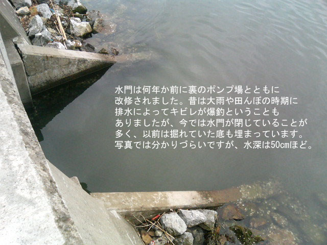 �Ðl���n�E�X���剺