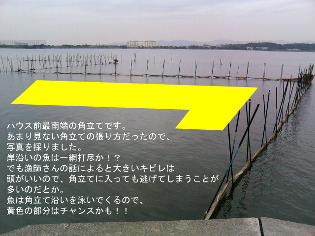 �n�E�X�O��[�p����