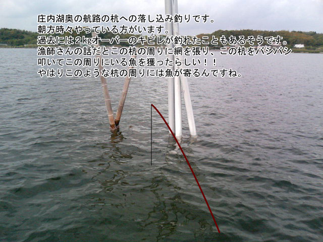 �����Ή��}�c�o��������