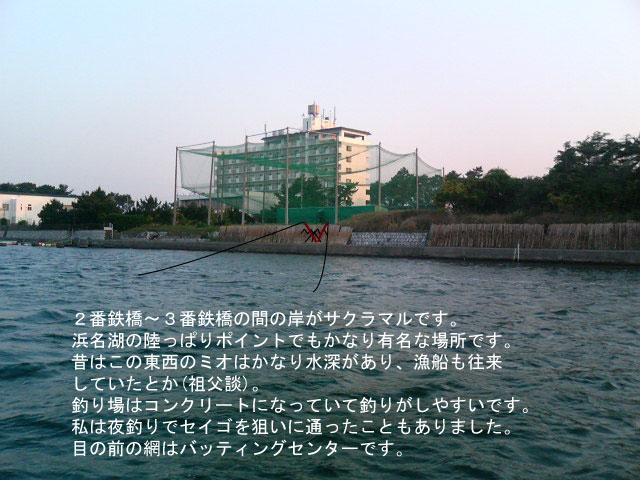 �T�N���}��