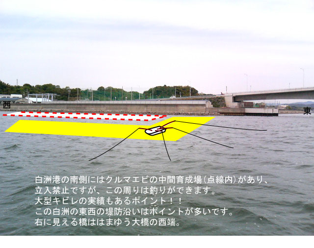 ���F�`�쑤