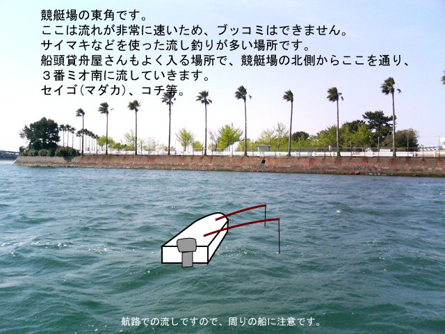 �����꓌��