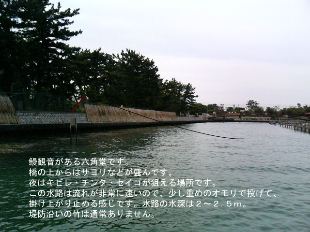 �Z�p�����H