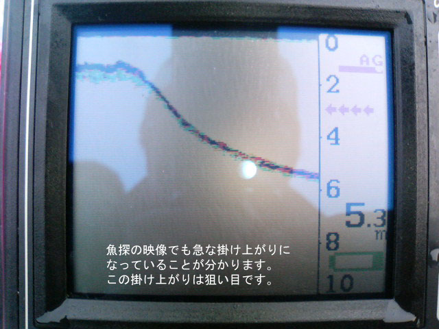 ���T�f��