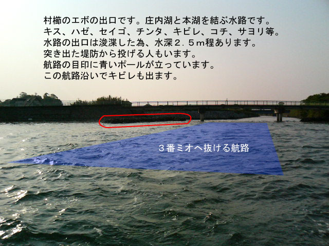 �����G�{����