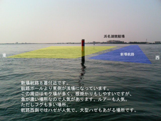 �V��q�H�W��