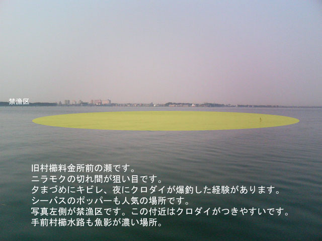 �������������O���