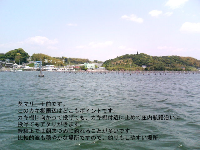 ���}���[�i�O