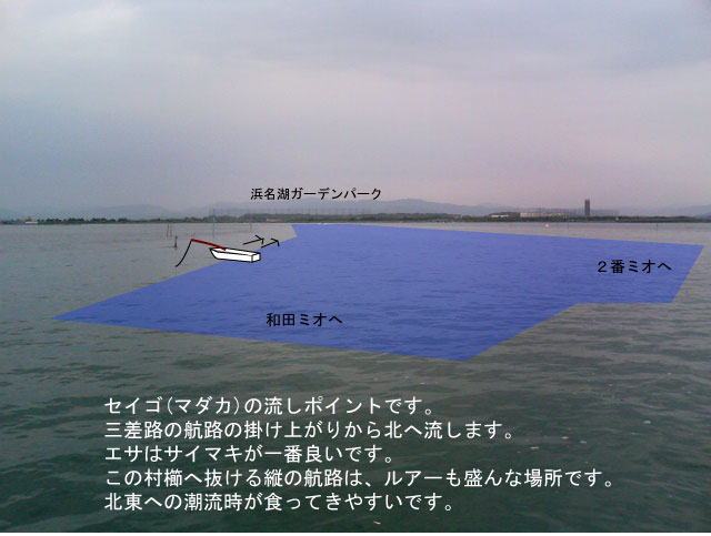 �ό����O���H