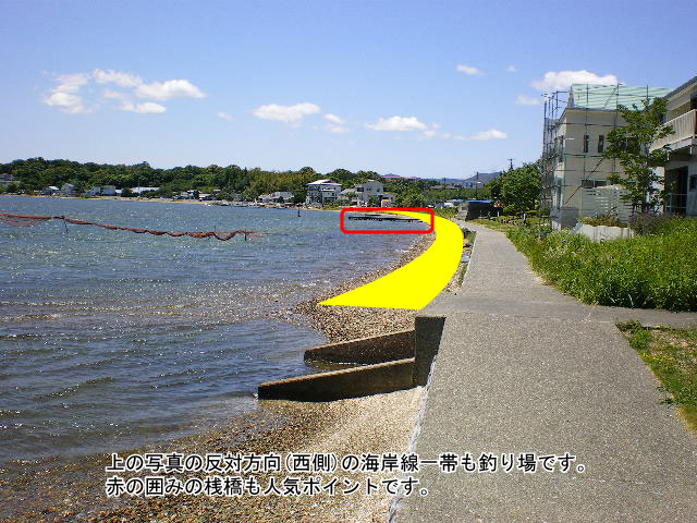 �O�P���N�̉Ƃ��琼�����ʐ^