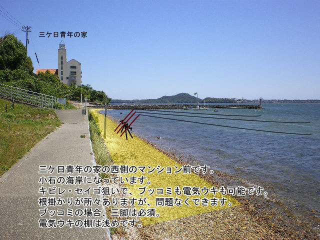 �O�P���N�̉Ɛ���