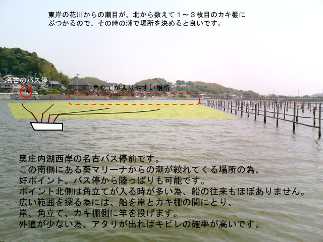 ���Ão�X��O