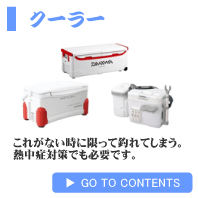 �N�[���[��