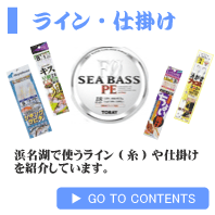 ���C���E�d�|����